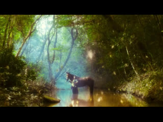 wong kar wai. ashes of time. 1994/2008