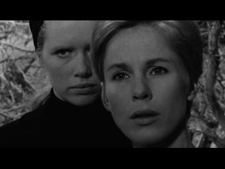 ingmar bergman. a person. 1966