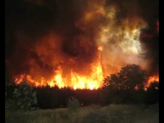 fire in the forest (tolyatti)